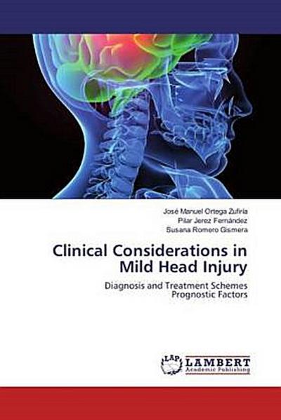 Clinical Considerations in Mild Head Injury