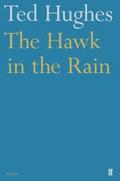 The Hawk in the Rain