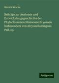 Beiträge zur Anatomie und Entwickelungsgeschichte der Phylactolaemen Süsswasserbryozoen insbesondere von Alcyonella fungosa Pall. sp.