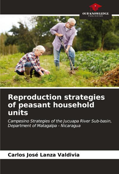 Reproduction strategies of peasant household units