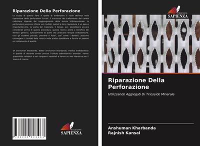 Riparazione Della Perforazione