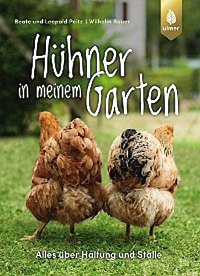 Hühner in meinem Garten