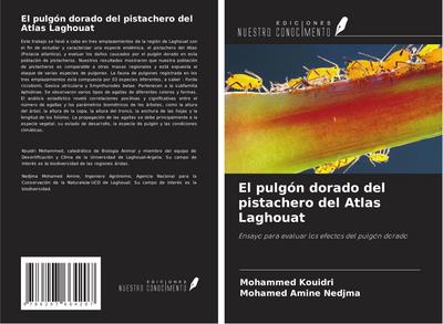 El pulgón dorado del pistachero del Atlas Laghouat