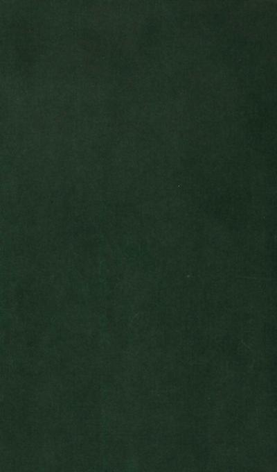 International Trade Theory in a Developing World