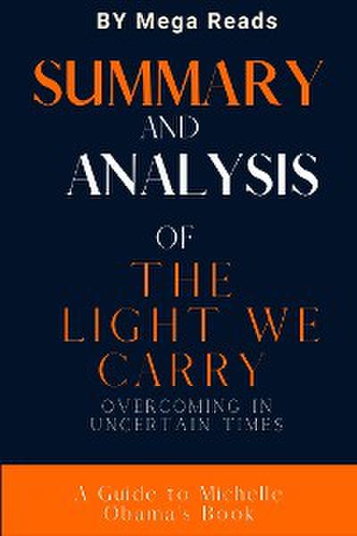Summary of The Light We Carry