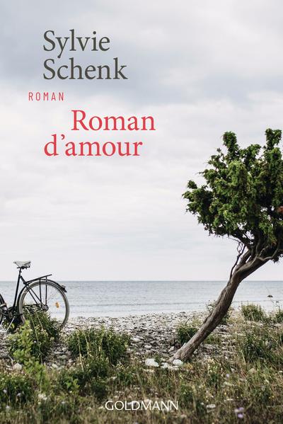 Roman d’amour