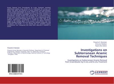 Investigations on Subterranean Arsenic Removal Techniques
