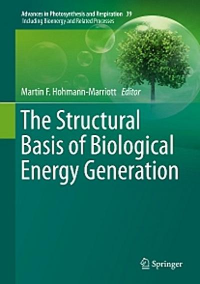 The Structural Basis of Biological Energy Generation