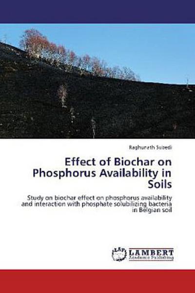 Effect of Biochar on Phosphorus Availability in Soils