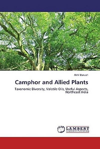 Camphor and Allied Plants