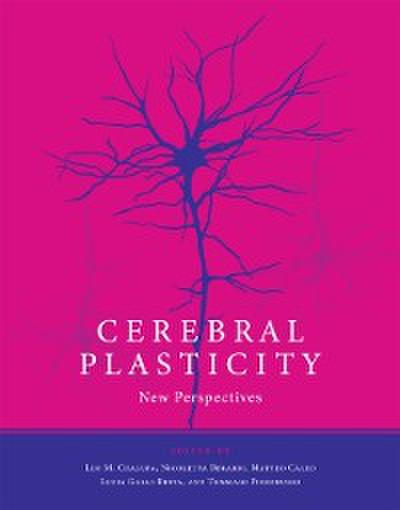 Cerebral Plasticity
