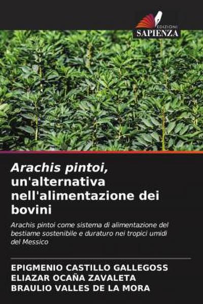 Arachis pintoi, un’alternativa nell’alimentazione dei bovini