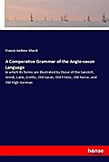 A Comparative Grammar of the Anglo-saxon Language