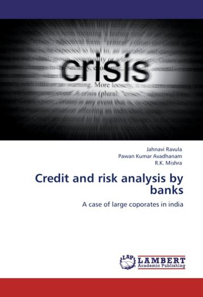 Credit and risk analysis by banks