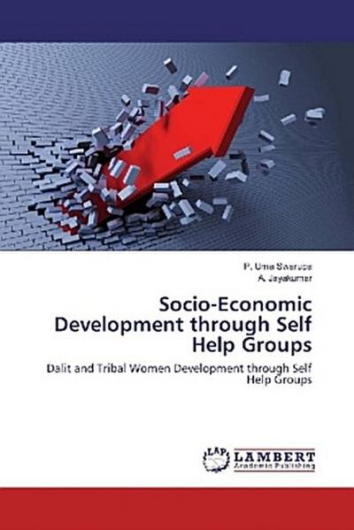 Socio-Economic Development through Self Help Groups