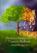 The Nexus Chronicles Vol 1: Fires In Mabon