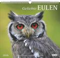Geliebte Eulen 2026 - DUMONT Wandkalender - mit den wichtigsten Feiertagen - Format 38,0 x 35,5 cm