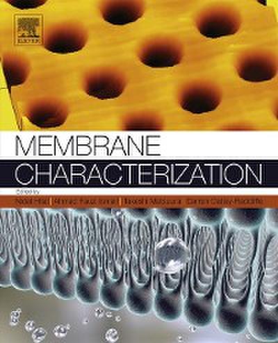 Membrane Characterization