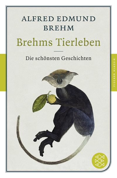 Brehm, A: Brehms Tierleben