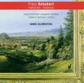 Wanderer-Fantasie/Grazer Fantasie/Moment musicaux