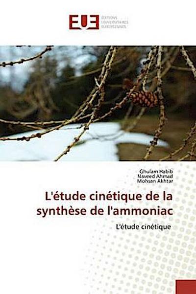 L’étude cinétique de la synthèse de l’ammoniac