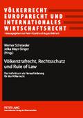 Völkerstrafrecht, Rechtsschutz und Rule of Law