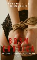 BDSM Erotica Volume 1 - 4