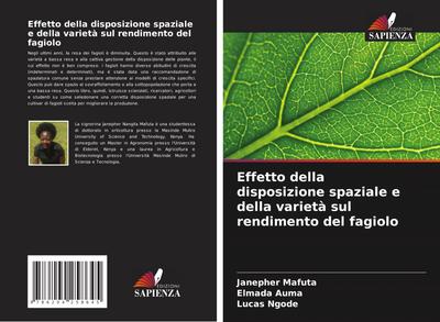 Effetto della disposizione spaziale e della varietà sul rendimento del fagiolo