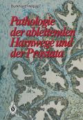 Pathologie der ableitenden Harnwege und der Prosta