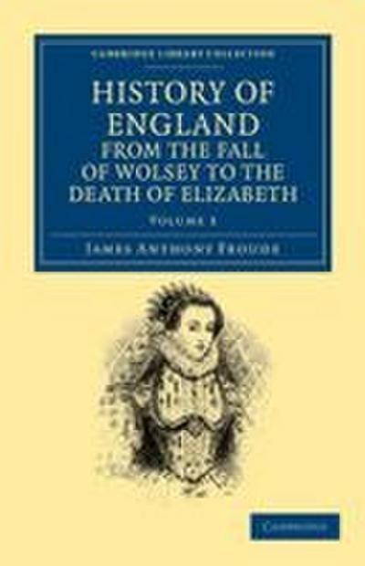 History of England from the Fall of Wolsey to the Death of Elizabeth - Volume 3