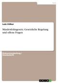 Mindestlohngesetz. Gesetzliche Regelung und offene