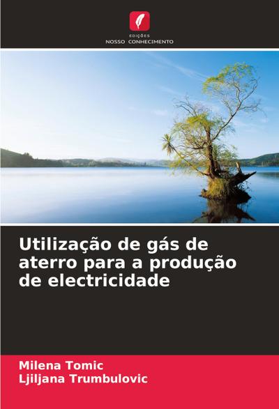 Utilização de gás de aterro para a produção de electricidade