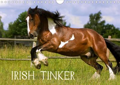 Irish Tinker (Wandkalender 2021 DIN A4 quer)