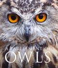 A Parliament of Owls