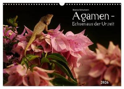 Agamen - Echsen aus der Urzeit (Wandkalender 2026 DIN A3 quer), CALVENDO Monatskalender