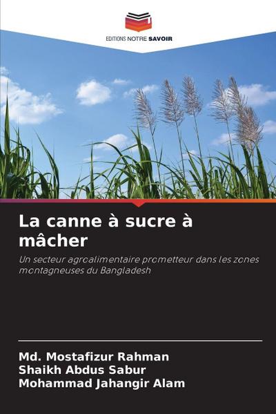 La canne à sucre à mâcher