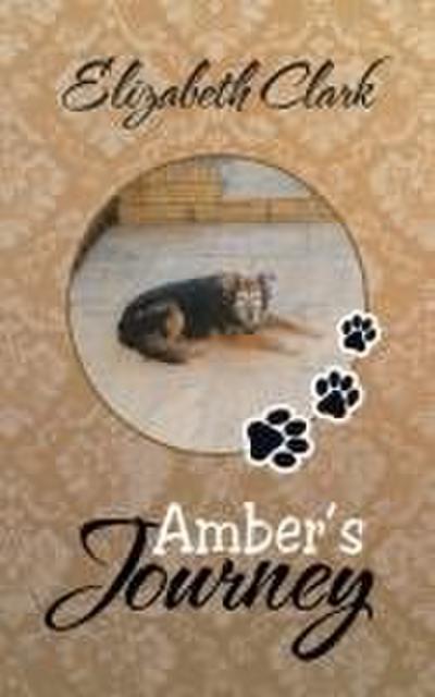 Amber’s Journey