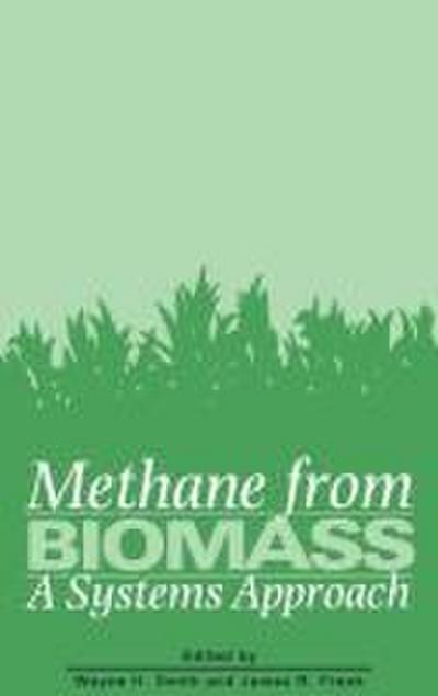 Methane from Biomass: A Systems Approach