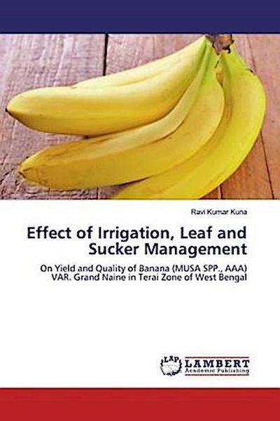 Effect of Irrigation, Leaf and Sucker Management