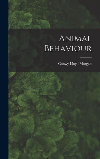 Animal Behaviour