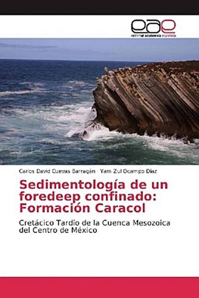 Sedimentología de un foredeep confinado: Formación Caracol