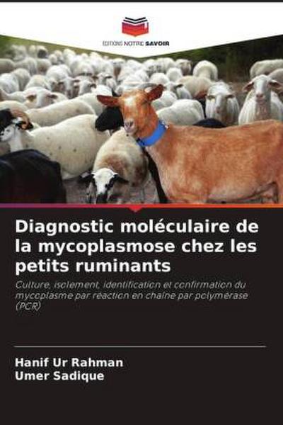 Diagnostic moléculaire de la mycoplasmose chez les petits ruminants