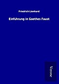 Einführung in Goethes Faust