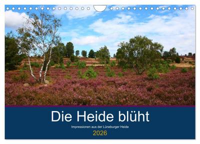 Die Heide blüht (Wandkalender 2026 DIN A4 quer), CALVENDO Monatskalender