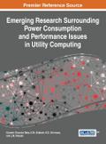 Emerging Research Surrounding Power Consumption and Performance Issues in Utility Computing