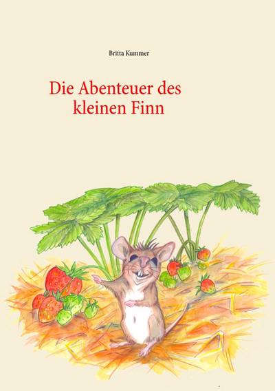 Kummer, B: Abenteuer des kleinen Finn