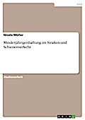 Minderjährigenhaftung im Straßen-und Schienenverkehr
