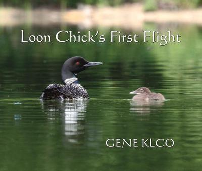 Loon Chick’s First Flight