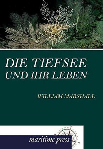 Die Tiefsee und ihr Leben