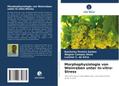 Morphophysiologie von Weinreben unter In-vitro-Str